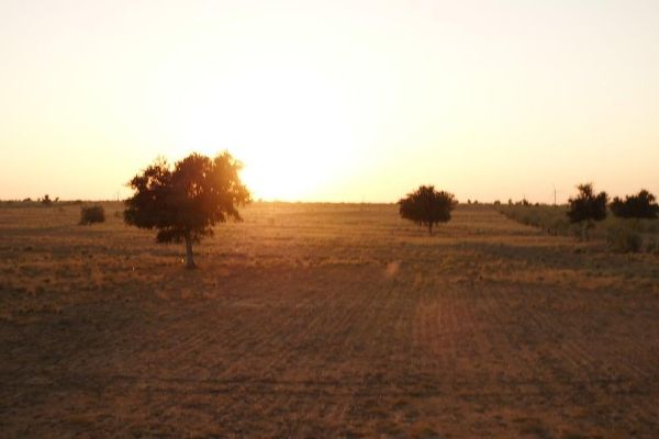 Hotel Garh Jaisal Haveli (Jaisalmer)